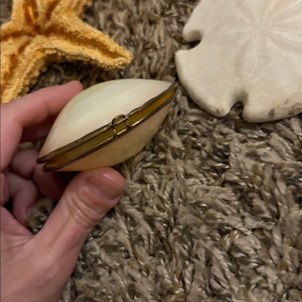 Beach Natural Decor Set Starfish, Sand Dollar, Shell Coin Purse